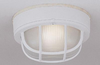 Exterior -Ceiling Mount - 205758 - Light Center (The)