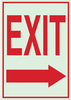 Glow-in-the-Dark Exit & Directional Sign - 80217 - Brady Corporation