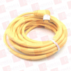 QD Cable/Cord Set - 4210095 - Radwell International