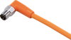 Connecting cable with plug - EVT218 - ifm electronic gmbh
