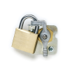 Manual Battery Disconnect Switch Lockout Lever Kit - 24505-BX - Littelfuse, Inc.