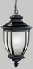 9843BK Exterior -Hanging - 495281 - Capital Lighting, Inc.