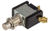 Specialty Pushbutton Switch -- 76060PS - Image