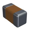 Capacitors - Ceramic Capacitors -- 1359205-0402N120F500CT