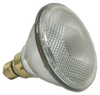 Standard Incandescent Lamp -- 175PAR38/HEAT-120