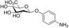 4-Aminophenyl β-D-Glucuronide - A624010 - Toronto Research Chemicals, Inc.