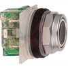 Pushbutton, Round Non-Illuminated, Momentary, 1NO, 30mm, 10A, 600V, Screw Clamp -- 70060329