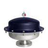 PULSATION DAMPENERS - CT4060V - Blacoh Fluid Control, Inc.