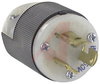 Electrical Plug; 15 A; 250 VAC; 0.230 to 0.720 in.; Nylon; Nylon; Steel; Brass - 70116129 - Allied Electronics, Inc.