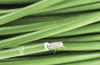 Thermocouple & Extension Wire - 3706199 - RS Components, Ltd.
