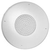Grille-6in Speaker, Steel, Screw Mount, 12.875in Dia, White - WB-8-6 - Visual Sound, Inc.