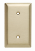 Blank Plates -- Strap Mounted, One Gang, Brass -- SB14 - Image