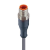 Sensor / Actuator Connector: M12 Standard, Cordset, Single ended, Straight Male, 8-pole; with Grey PVC 24 AWG cable with Stainless Steel Coupling Nuts - RSTN 8-661 - Belden Inc.