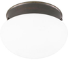 P3410-20 Flush Mounts-Bowl Style - 786823 - Capital Lighting, Inc.