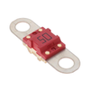 Fuses - 142.7010.5502-ND - DigiKey