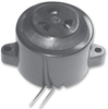 Buzzer, Piezo, Wire, 100Db, 3-16V; Transducer Function Kingstate - 48W6017 - Newark, An Avnet Company