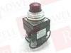 Pilot Light - 23244692 - Radwell International