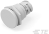 Push Button Switches -- K1156026
