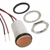 Panel Indicators, Pilot Lights - 350-2417-ND - DigiKey