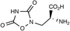 (+)-Quisqualic Acid - 13324 - Medical Isotopes, Inc.