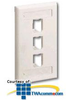 Panduit® Mini-Com Classic Series Faceplates with.. - CFPL3 - TelephoneStuff.com