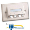 Panduit® Mini-Com Classic Series Sloped Faceplates.. - CFPHSL4 - TelephoneStuff.com