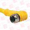 QD Cable/Cord Set - 4209098 - Radwell International