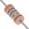Through Hole Resistors - FMP100FTF52-31R6-ND - DigiKey