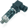 Pressure Transmitter EXNT - 8292 - Trafag Inc.