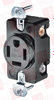 Plug/Receptacle - 11647456 - Radwell International