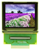 Display Modules - LCD, OLED, Graphic - 3190-DLC0145BNOF-ND - DigiKey