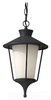 Pendant Light Fixture - OL8411TXB - Generation Brands