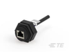 RJ45 Connectors - 1-1546412-1 - TE Connectivity
