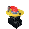 H programme - HHSNH63-BL-RT -  - Schmersal Inc.
