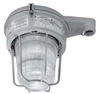 Vaporproof HID Fixture with Globe and Guard - MLRP175G1G48 - Appleton Electric