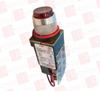 Pilot Light - 365253 - Radwell International