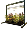 Jump Start 2' (stand only) - JS10065 - Hydrofarm, Inc.