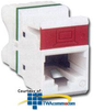 Siemon Ultra MAX 6 Flat Module - Cat 6 - MX6-F02U - TelephoneStuff.com