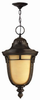 Exterior -Hanging - 287445 - Light Center (The)