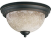 3076-13-95 Flush Mounts-Bowl Style - 726310 - Capital Lighting, Inc.