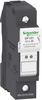 Cartridge Fuse Holder, 32A, 1P, 690V Rohs Compliant Schneider Electric - 69AH7580 - Newark, An Avnet Company