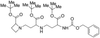 (2S,3’S,3”S)-N-[3-(3-t-Butoxycarbonyl-3-benzyl.. -- B690300 - Image