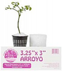 ARROYO / 3.25