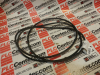 Belt -- 20911018