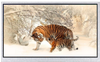 All Shore Industries, Inc. > Liquid Crystal Displays | - ASI-T-700MA4DN/D - All Shore Industries