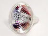 50 Watt, 12 Volt ENL Bulb - W-ENL - bulbs.com