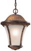 8234-163-PL Exterior -Hanging - 334278 - Capital Lighting, Inc.
