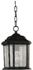 60029-746 Exterior -Hanging - 754805 - Capital Lighting, Inc.