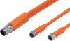 Y connection cable - EVT339 - ifm electronic gmbh
