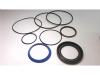 Hydraulic Motor Rebuild Kit / Seal Kit - Radwell International